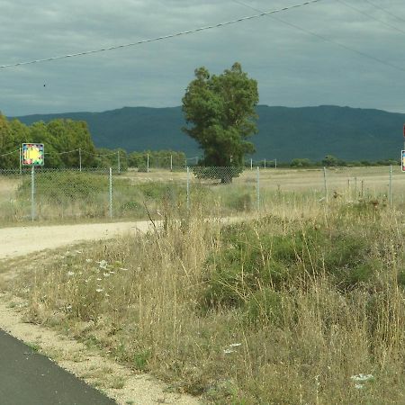 Tra Mare E Monti Apartment Santa Giusta Luaran gambar
