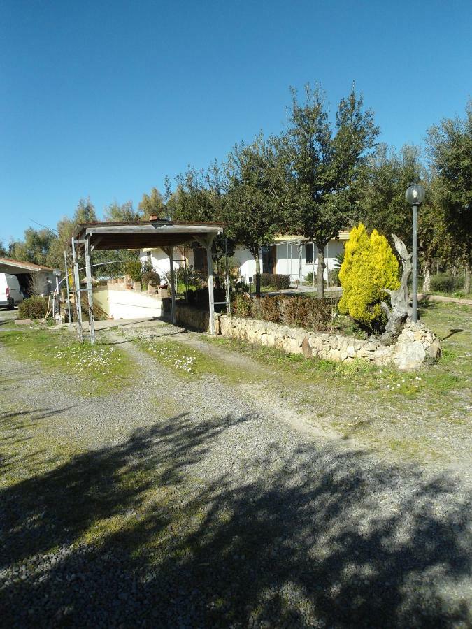 Tra Mare E Monti Apartment Santa Giusta Luaran gambar